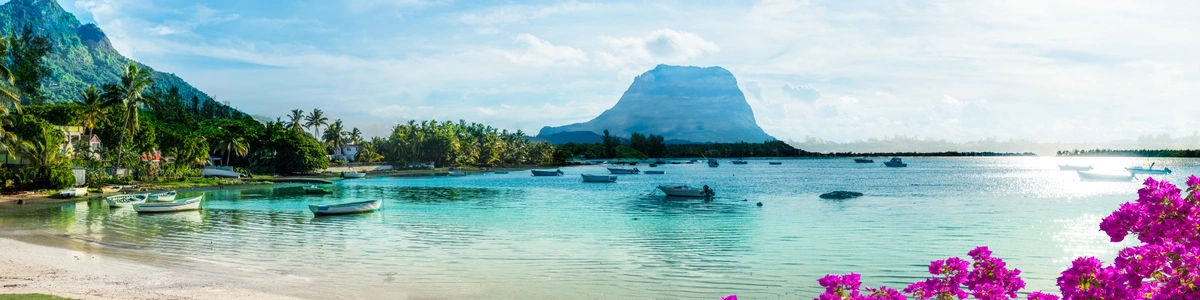 https://viajes.locosporelcaribe.com/viajes/assets/upload/d97.webp