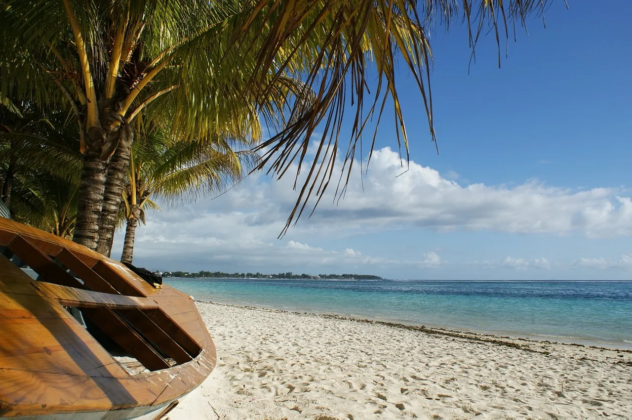 https://viajes.locosporelcaribe.com/viajes/assets/upload/p100.webp