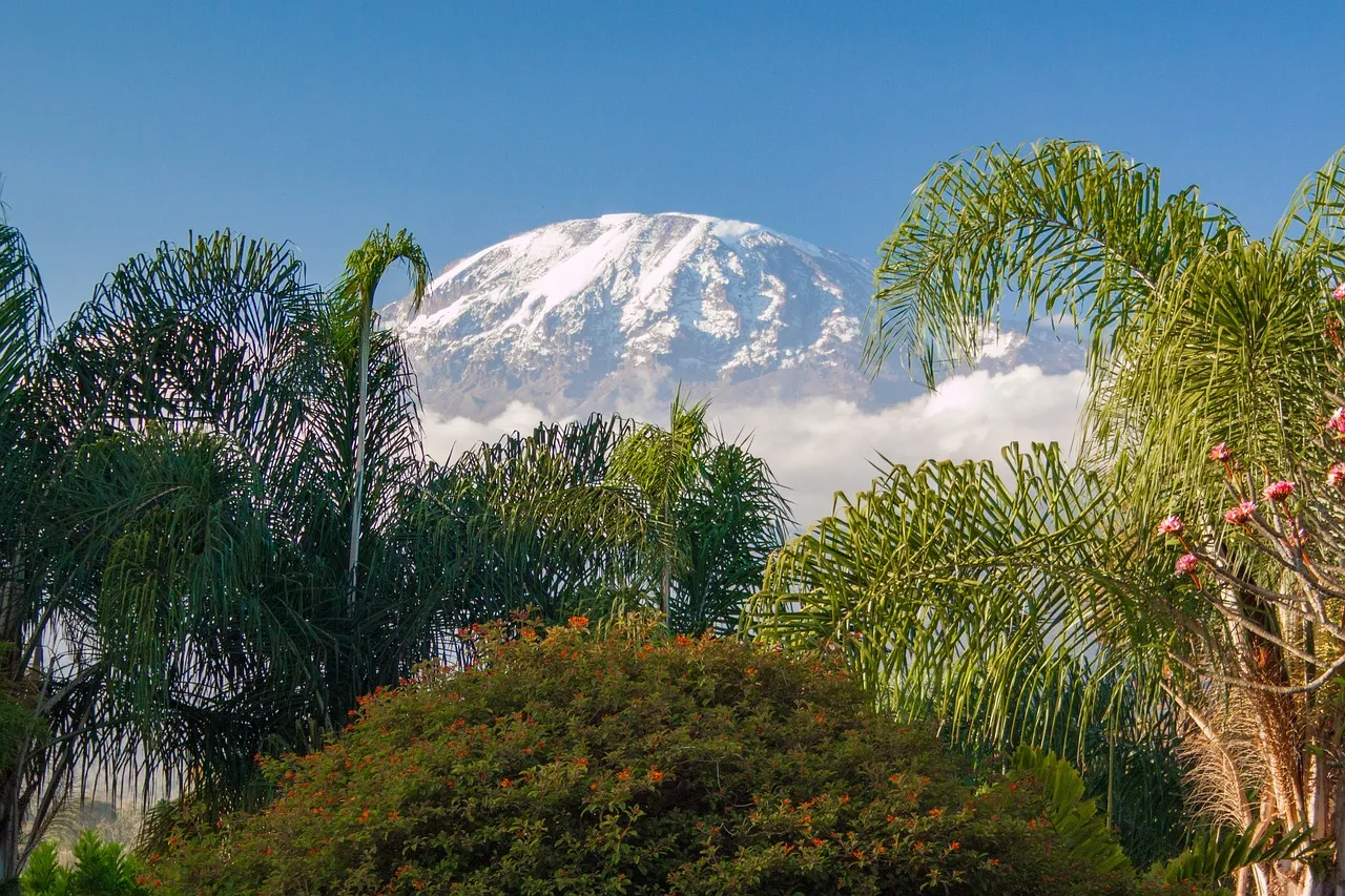 https://viajes.locosporelcaribe.com/viajes/assets/upload/p196.webp